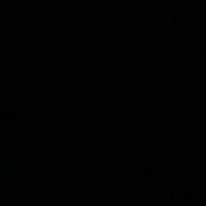 Meet your Posher, Daniella